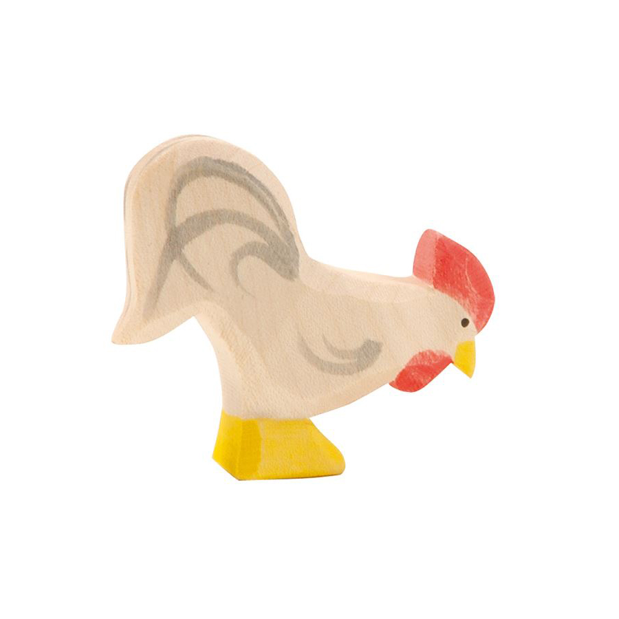 ǰ̹